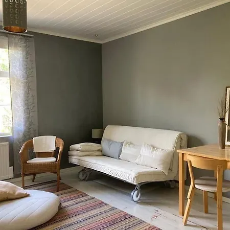 Scandinavian Style Wooden House Flat *