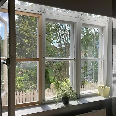 Scandinavian Style Wooden House Flat